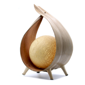 Coconut Table Lamp