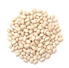 Organic Haricot Beans 100g