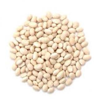 Organic Haricot Beans 100g