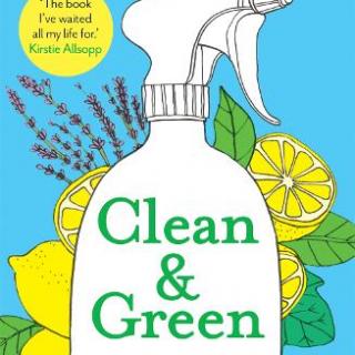 Nancy Birtwhistle - Clean & Green Handbook - Hardback