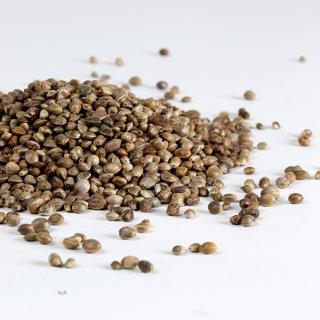  Organic Hemp Seeds 100g