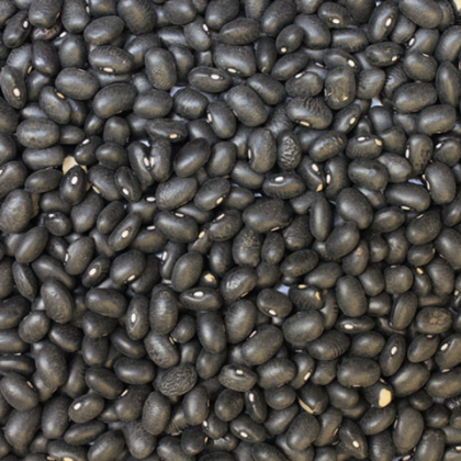 Organic Black Turtle Beans 100g
