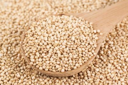 Organic Quinoa Grain 100g